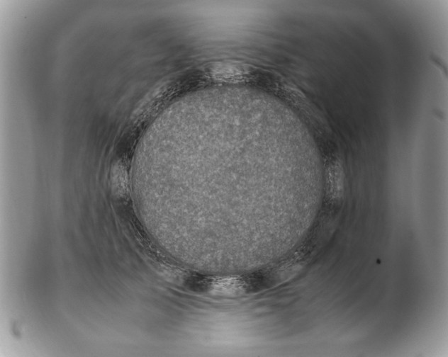 X0000102390705200808221825