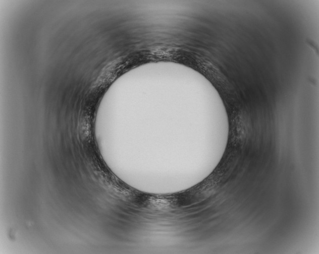 X0000102390706200808221825