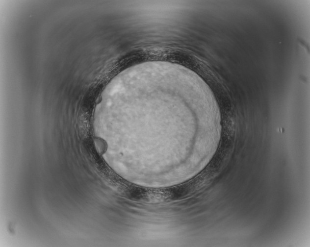 X0000102390707200808221825