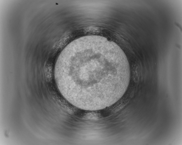 X0000102390708200808221825