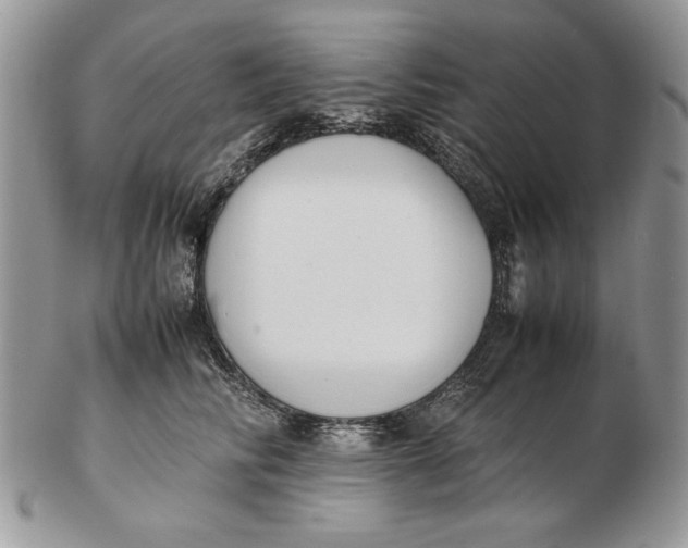 X0000102390710200808221825