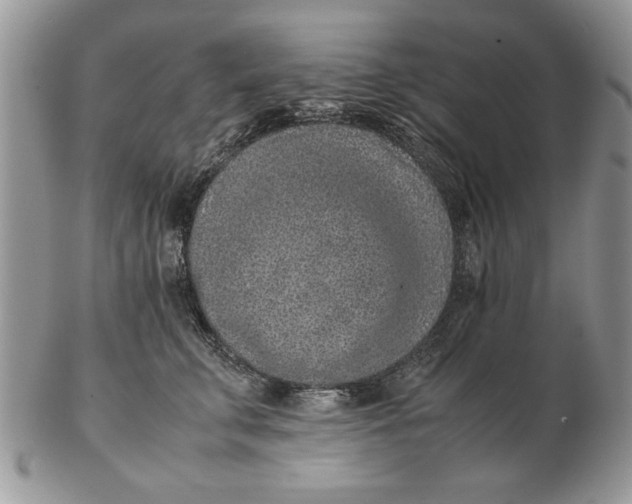 X0000102390711200808221825