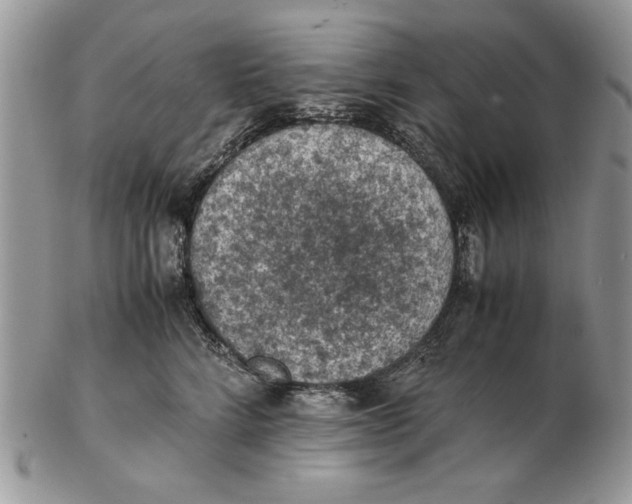 X0000102390712200808221825