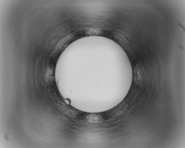 X0000102390714200808221825