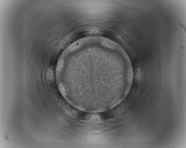 X0000102390715200808221825