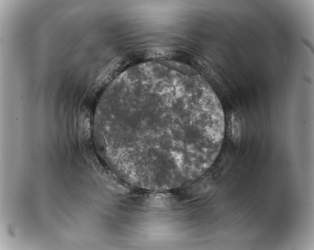 X0000102390716200808221825