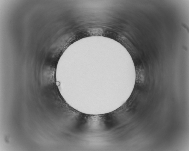 X0000102390717200808221825