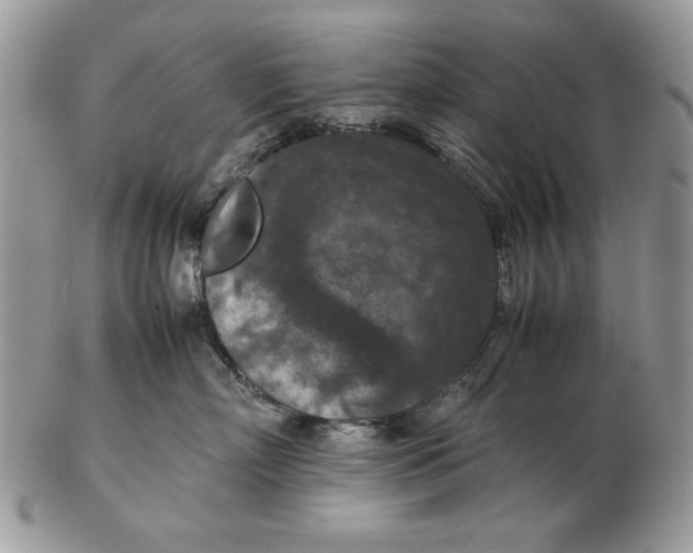 X0000102390718200808221825