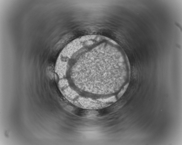 X0000102390719200808221825