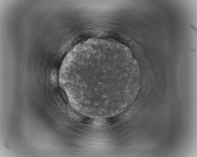 X0000102390720200808221825