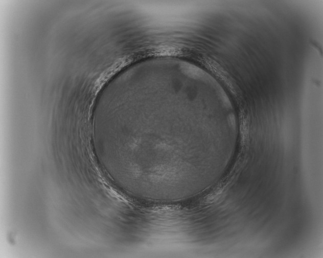 X0000102390721200808221824