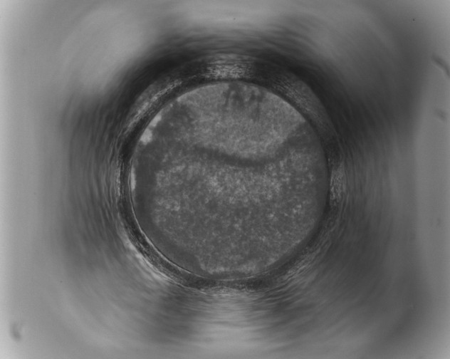 X0000102390722200808221824