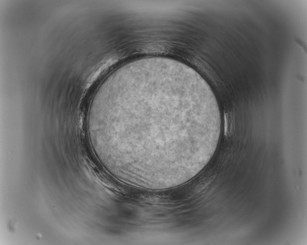 X0000102390723200808221824