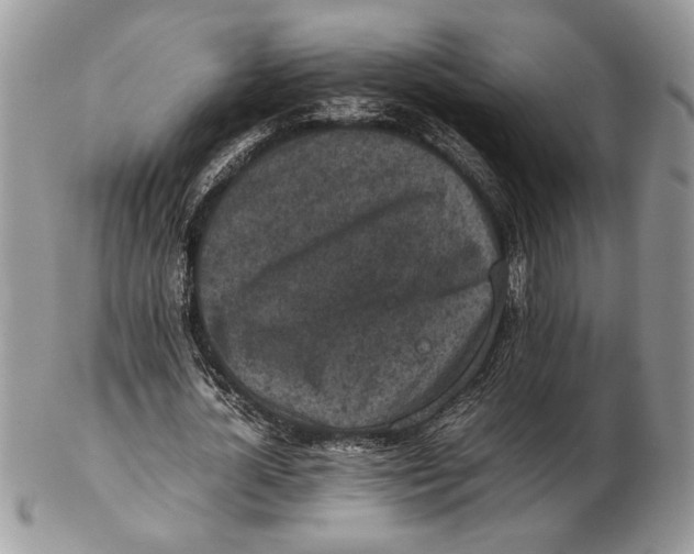 X0000102390724200808221824