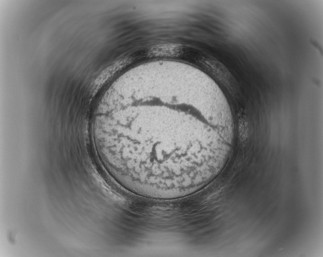 X0000102390725200808221824