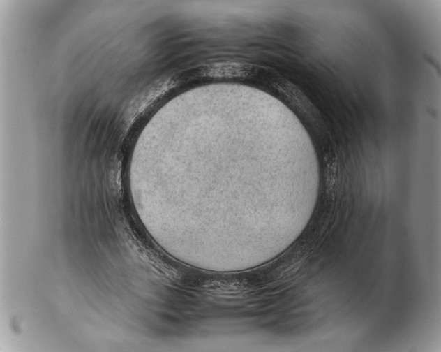 X0000102390727200808221824