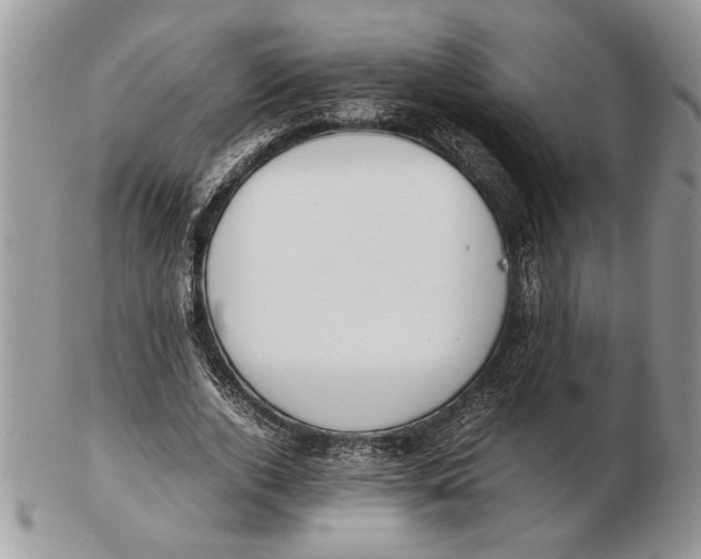 X0000102390728200808221824