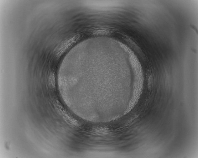 X0000102390729200808221824