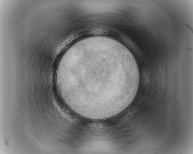 X0000102390730200808221824