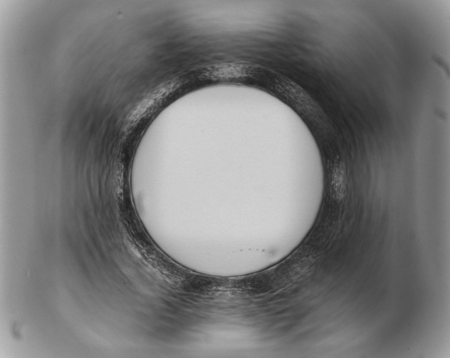 X0000102390732200808221824