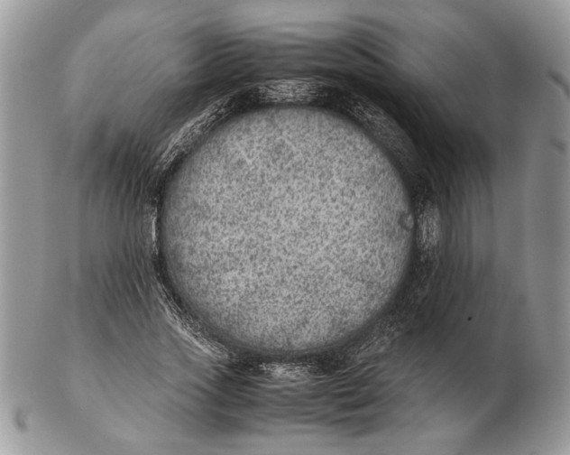 X0000102390733200808221824