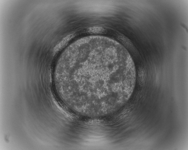 X0000102390734200808221824