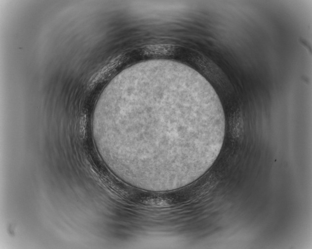 X0000102390735200808221824