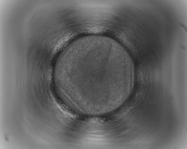 X0000102390736200808221824