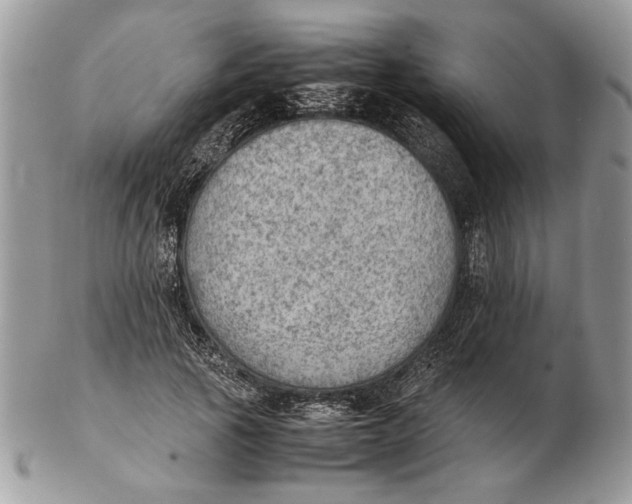 X0000102390737200808221824