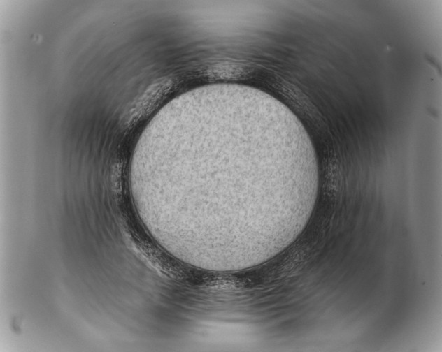 X0000102390738200808221824