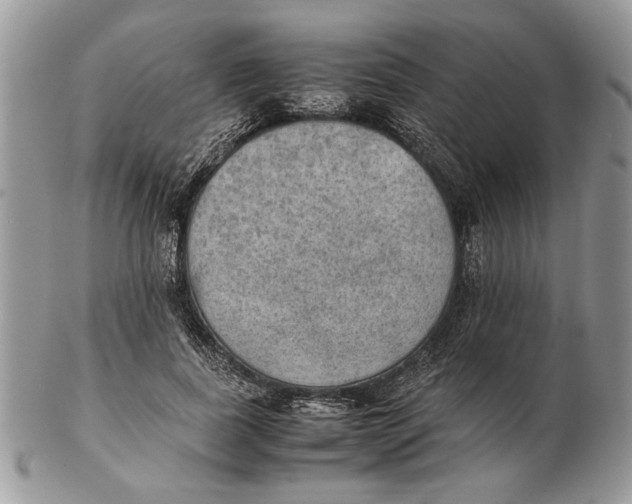 X0000102390739200808221824