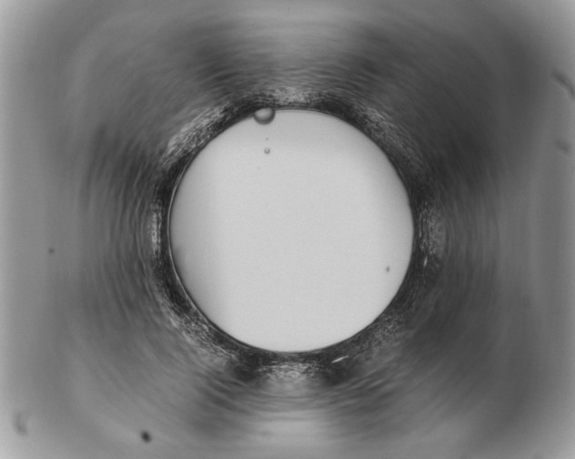 X0000102390740200808221824