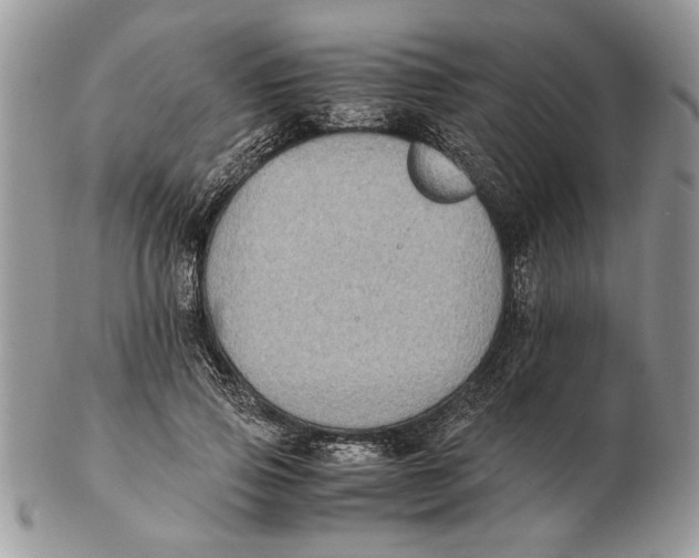 X0000102390741200808221824