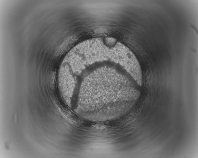 X0000102390742200808221824