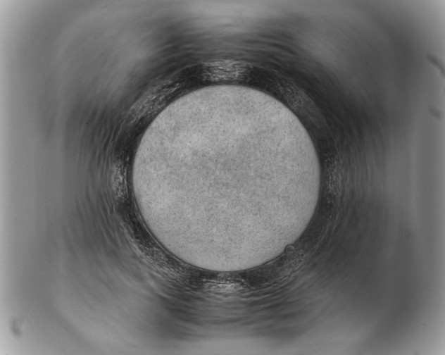 X0000102390743200808221824