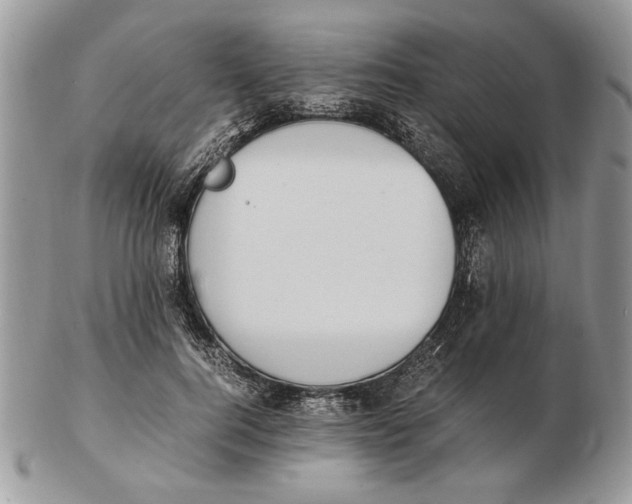 X0000102390744200808221824