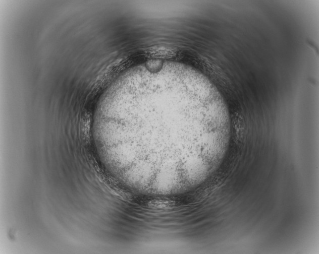 X0000102390745200808221824