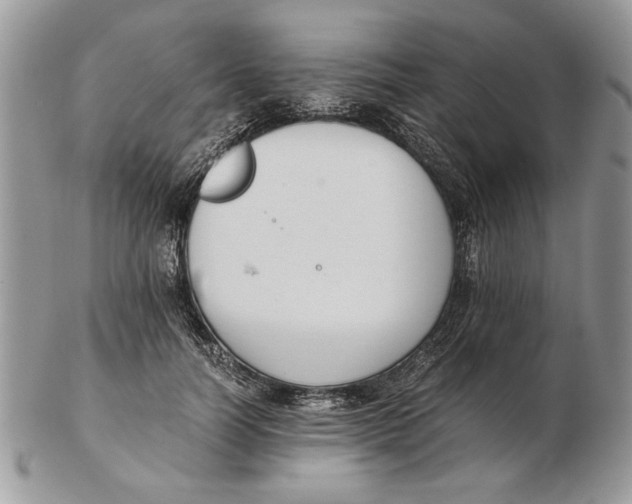 X0000102390746200808221824