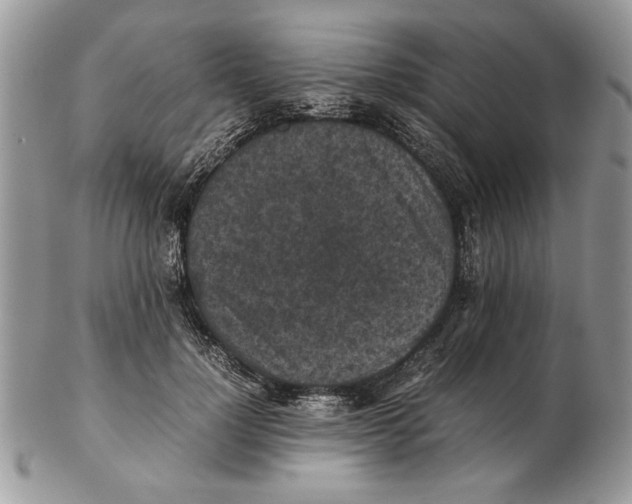 X0000102390748200808221824