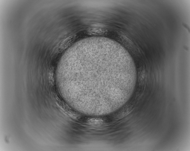 X0000102390749200808221824