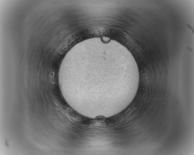 X0000102390750200808221824