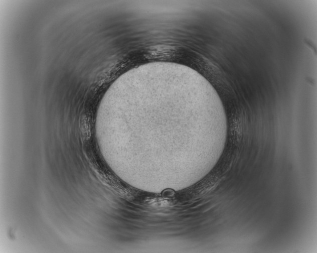 X0000102390751200808221824