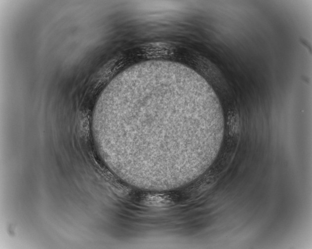 X0000102390753200808221824