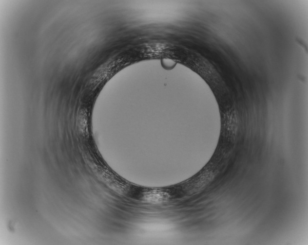 X0000102390754200808221824