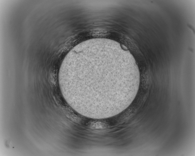 X0000102390755200808221824