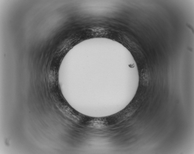 X0000102390756200808221824