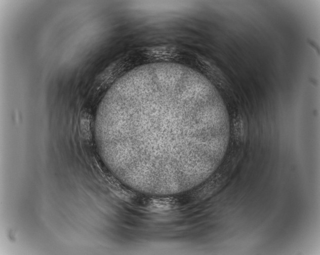 X0000102390757200808221825