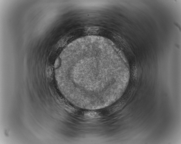 X0000102390759200808221825