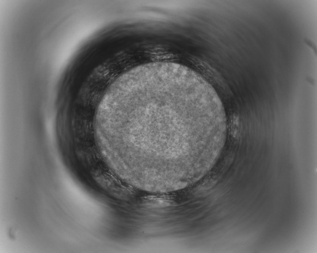 X0000102390763200808221825