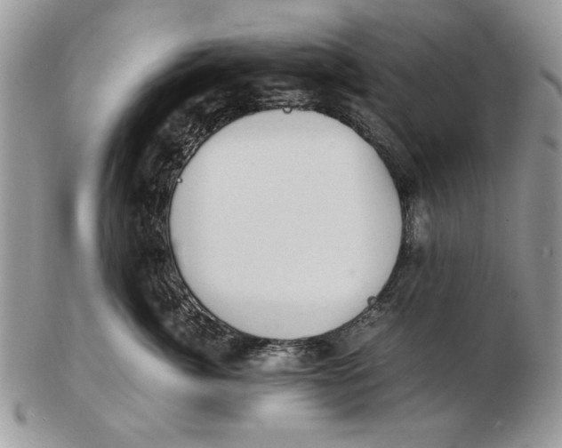 X0000102390764200808221825